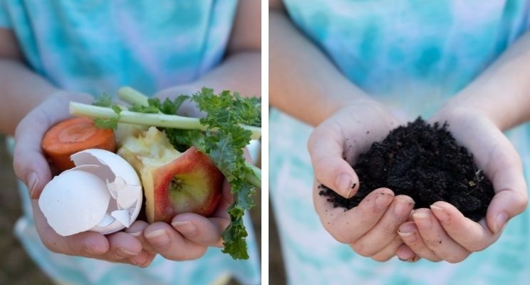 food scraps and compost