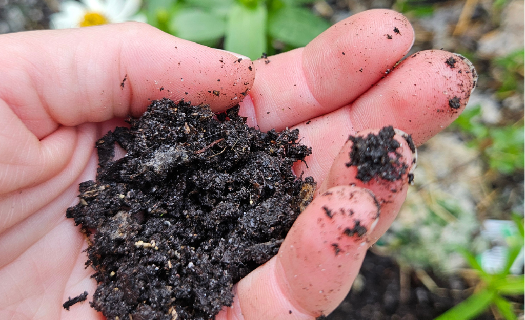 a handful of soil